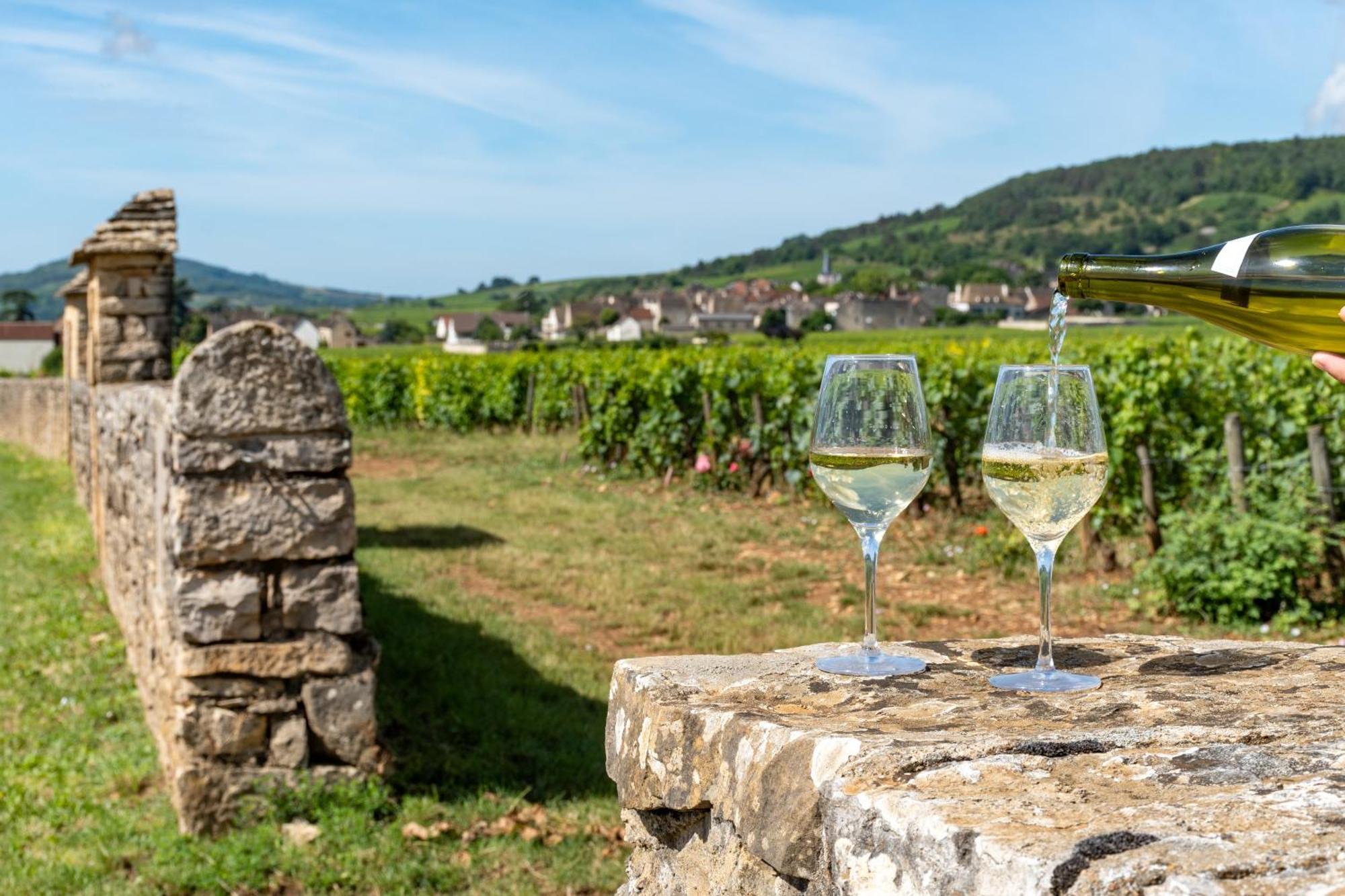 Charmante Maison Climatisee Avec Son Jardin A 5 Minutes De Dijon Saint-Apollinaire  Εξωτερικό φωτογραφία